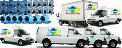 Master Service Pro car