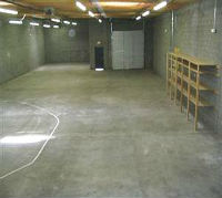 MSP Ceiling Mold Inspection