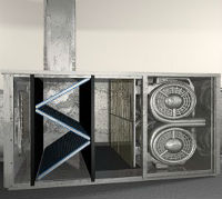 MSP Basement Mold Inspection