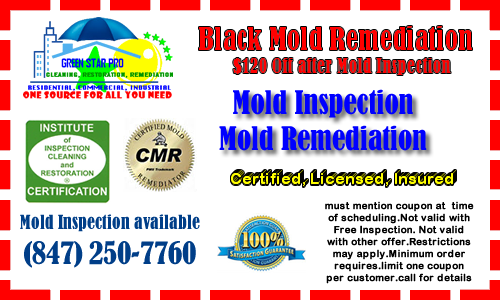 Coupon GreenStar pro