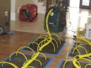 Master Service Pro floor drying