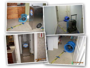 Master Service Pro Sewage Backup Cleaning