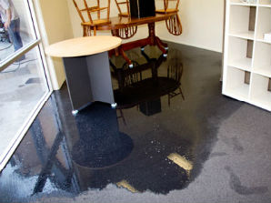 Master Service Pro Water Damage