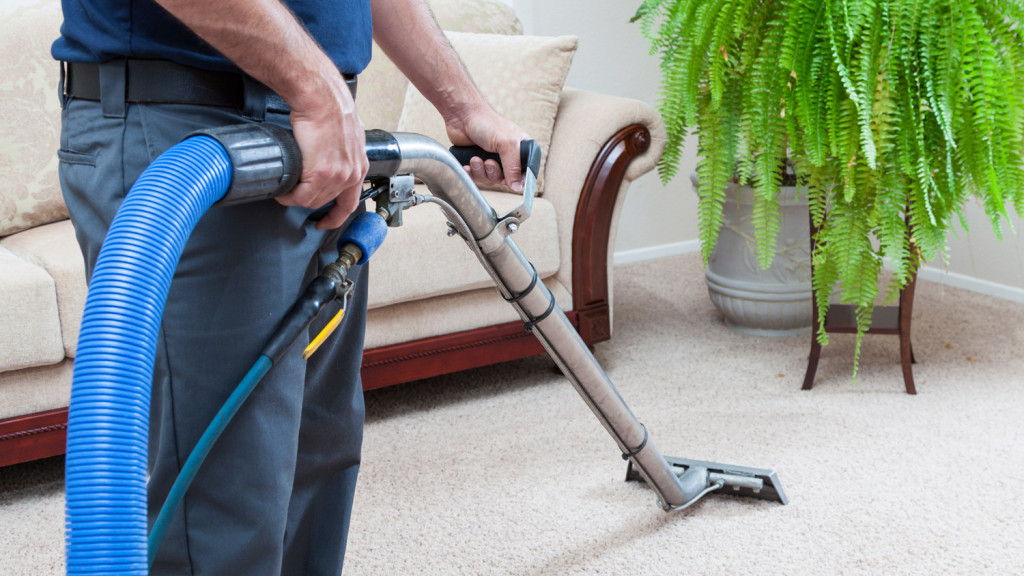 Carpet & Rug Cleaning Master Service Pro