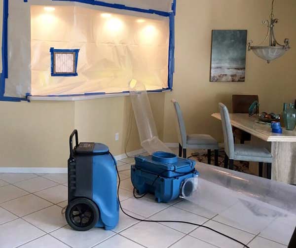 Mold Removal, Black Mold Removal