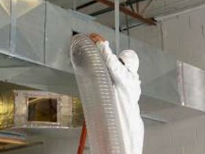 GreenStar Commercial Mold Remediator