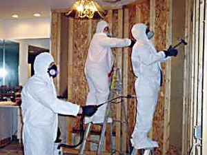 GreenStar Mold Removal