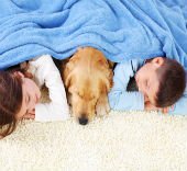 GreenSTAR Pro Spot & Odor Removal