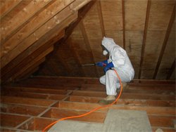 Master Service Pro Attic Mold Removal